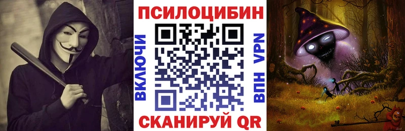 Псилоцибиновые грибы GOLDEN TEACHER  где найти   Бабаево 
